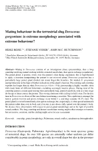 Mating Behaviour in the Terrestrial Slug Deroceras Gorgonium: Is Extreme Morphology Associated with Extreme Behaviour?