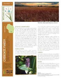 CHEROKEE MARSH WETLAND TYPES Mario Quintano Marsh, Fen, Sedge Meadow, Low Prairie, Shrub Carr