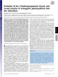 Evolution of the 3-Hydroxypropionate Bicycle and Recent Transfer of Anoxygenic Photosynthesis Into the Chloroflexi