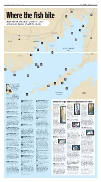 Marc Folco's Top 25 List of the Best Spots on Buzzards Bay and Around
