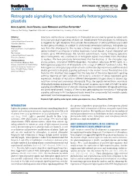 Retrograde Signaling from Functionally Heterogeneous Plastids