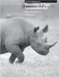 1999-2000 Summary Report
