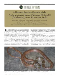 Platyceps Bholanathi (Sharma Nine Additional Records of P