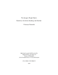 The Synaptic Weight Matrix