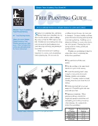 Tree Planting Guide