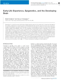 Early-Life Experience, Epigenetics, and the Developing Brain