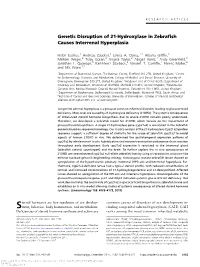 Genetic Disruption of 21-Hydroxylase in Zebrafish Causes Interrenal Hyperplasia