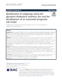 Identification of Subgroups Along the Glycolysis-Cholesterol Synthesis