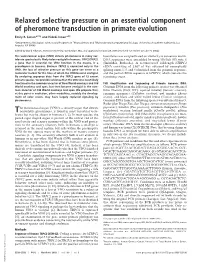 Relaxed Selective Pressure on an Essential Component of Pheromone Transduction in Primate Evolution