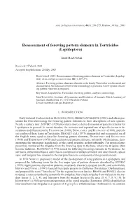 A-Razowski X.Vp:Corelventura