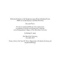 IRBP) in Ground Squirrels and Blind Mole Rats