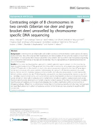 (Siberian Roe Deer and Grey Brocket Deer) Unravelled by Chromosome- Specific DNA Sequencing Alexey I