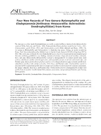 Four New Records of Two Genera Balanophyllia and Cladopsammia (Anthozoa: Hexacorallia: Scleractinia: Dendrophylliidae) from Korea