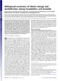 Widespread Occurrence of Nitrate Storage and Denitrification Among