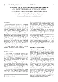Detection and Characterization of the Phytoplasma Associated with Marigold Phyllody in Mexico