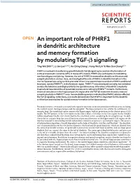 An Important Role of PHRF1 in Dendritic Architecture and Memory