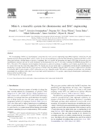 Mini-E: a Tractable System for Chromosome and BAC Engineering