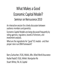 What Makes a Good Economic Capital Model? Seminar on Reinsurance 2010 an Interactive Session for a Lively Discussion Between Audience Members and Panelists