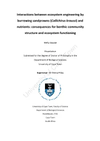 And Nutrients: Consequences for Benthic Community Structure and Ecosystem Functioning