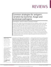 Common Strategies for Antigenic Variation by Bacterial, Fungal and Protozoan Pathogens