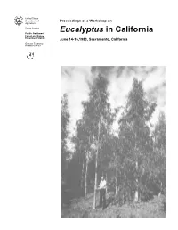 A Workshop on Eucalyptus in California