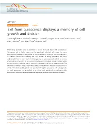 Exit from Quiescence Displays a Memory of Cell Growth and Division