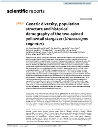 Genetic Diversity, Population Structure and Historical Demography