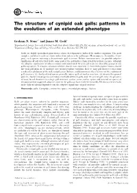 The Structure of Cynipid Oak Galls: Patterns in the Evolution of an Extended Phenotype