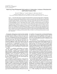 Resolving Deep Phylogenetic Relationships in Salamanders: Analyses of Mitochondrial and Nuclear Genomic Data