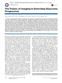 The Future of Imaging in Detecting Glaucoma Progression