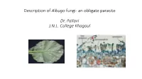 Description of Albugo Fungi- an Obligate Parasite