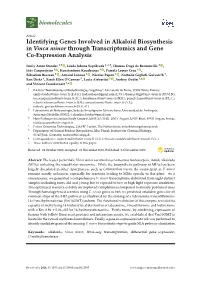Identifying Genes Involved in Alkaloid Biosynthesis in Vinca Minor Through Transcriptomics and Gene Co-Expression Analysis