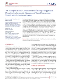 Ten Triangles Around Cavernous Sinus for Surgical Approach, Described by Schematic Diagram and Three Dimensional Models with the Sectioned Images