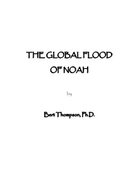 The Global Flood of Noah