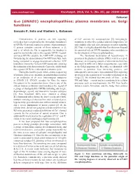 Gαo (GNAO1) Encephalopathies: Plasma Membrane Vs. Golgi Functions
