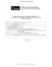 Effect of Toluene on Pseudomonas Stutzeri ST-9 Morphology: Plasmolysis, Cell Size and 1