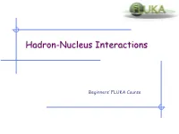 Hadron-Nucleus Interactions