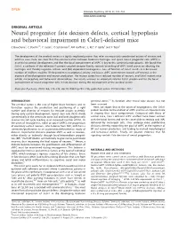 Neural Progenitor Fate Decision Defects, Cortical Hypoplasia and Behavioral Impairment in Celsr1-Deﬁcient Mice