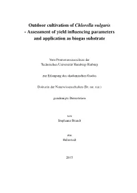 Outdoor Cultivation of Chlorella Vulgaris - Assessment of Yield Inﬂuencing Parameters and Application As Biogas Substrate