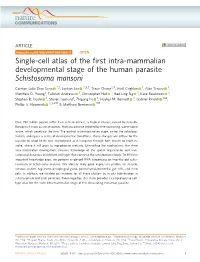 Single-Cell Atlas of the First Intra-Mammalian