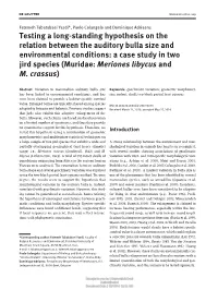 Testing a Long-Standing Hypothesis on the Relation Between the Auditory