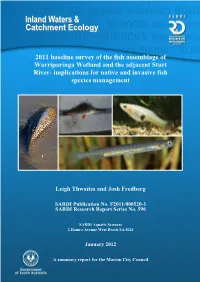 2011 Baseline Survey of the Fish Assemblage of Warriparinga Wetland and the Adjacent Sturt River- Implications for Native and Invasive Fish Species Management