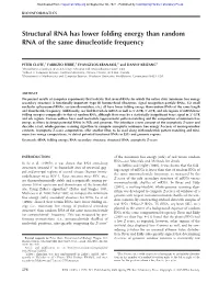 Structural RNA Has Lower Folding Energy Than Random RNA of the Same Dinucleotide Frequency