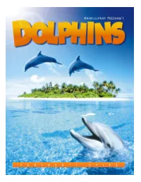 Dolphins Near Me, and I Understand What They’Re Saying to Each Other… I Can Understand Their Language
