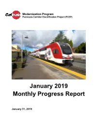 January 2019 Monthly Progress Report