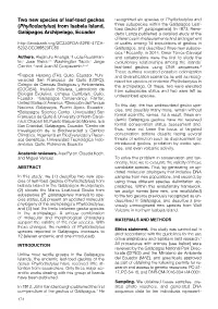 Phyllodactylus and Three Subspecies Within the Galápagos Leaf- (Phyllodactylus) from Isabela Island, Toed Gecko (P