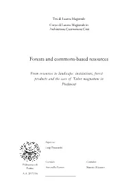 Forests and Commons-Based Resources
