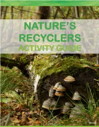 Nature's Recyclers Activity Guide