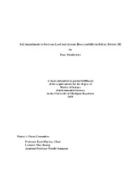 Soil Amendments to Decrease Lead and Arsenic Bioaccessibility in Delray, Detroit, MI by Rose Mankiewicz