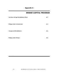Bridge Capital Program